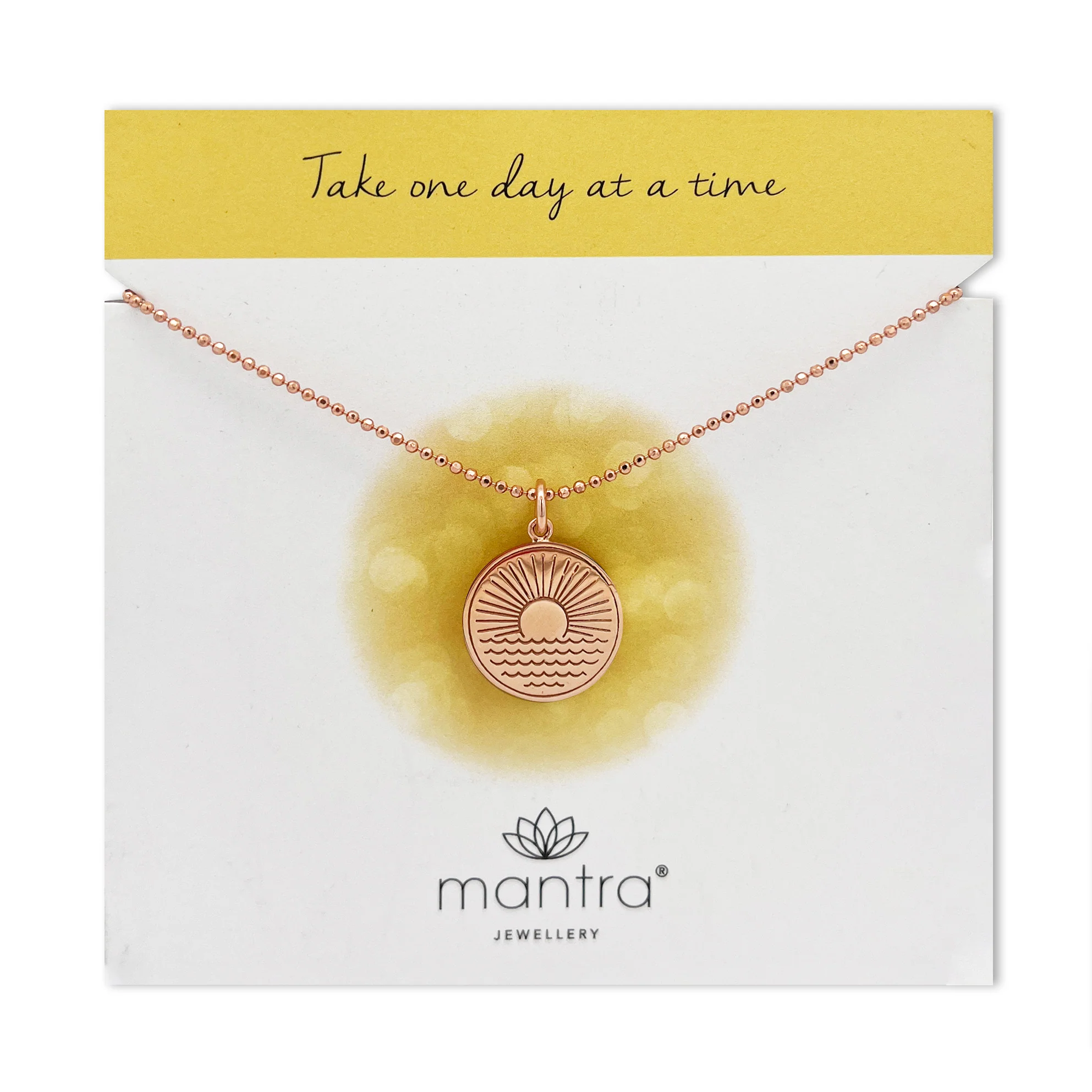 One Day at a Time Disc Necklace in Rose Gold - Image 3