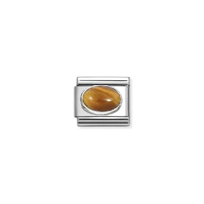 Classic Silver and Tiger's Eye Sparkly & Stones Charms