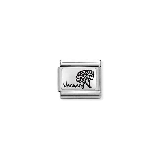 Classic Silver January Carnation Flower Birthday & Birthstone Charms