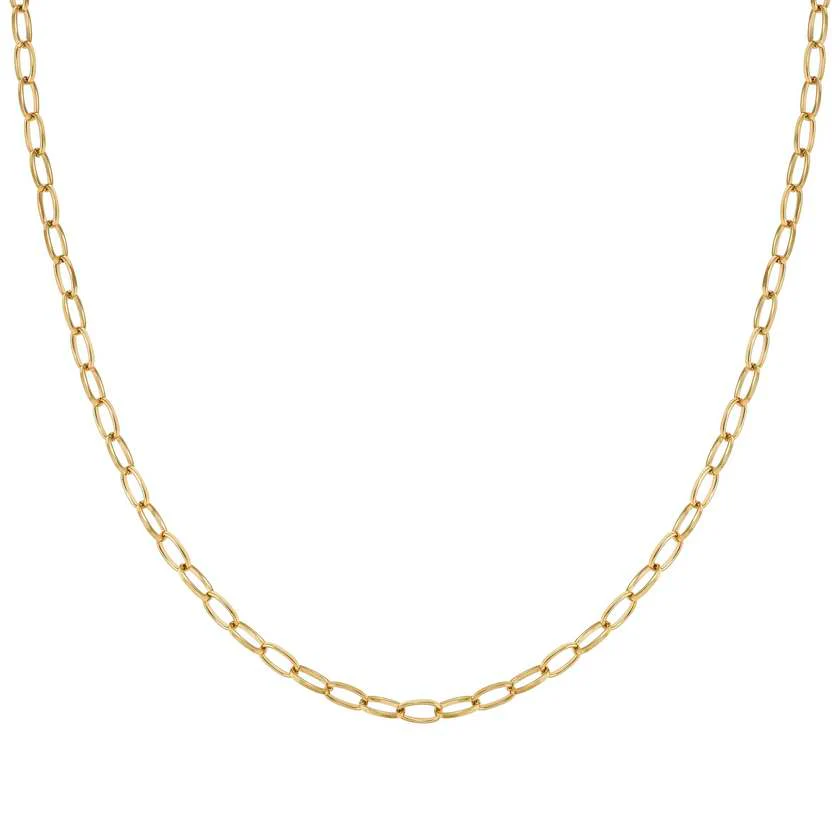 Ecclettica Long Link Necklace in Gold