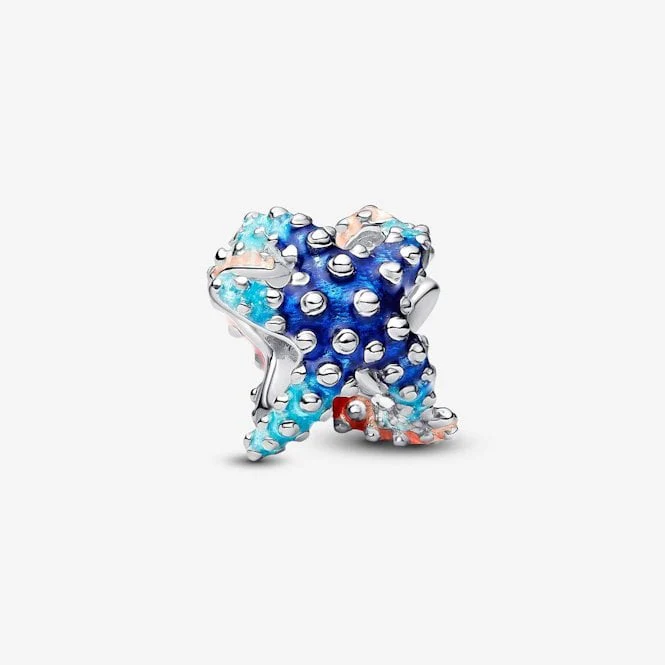 Colourful Starfish Mini Charms