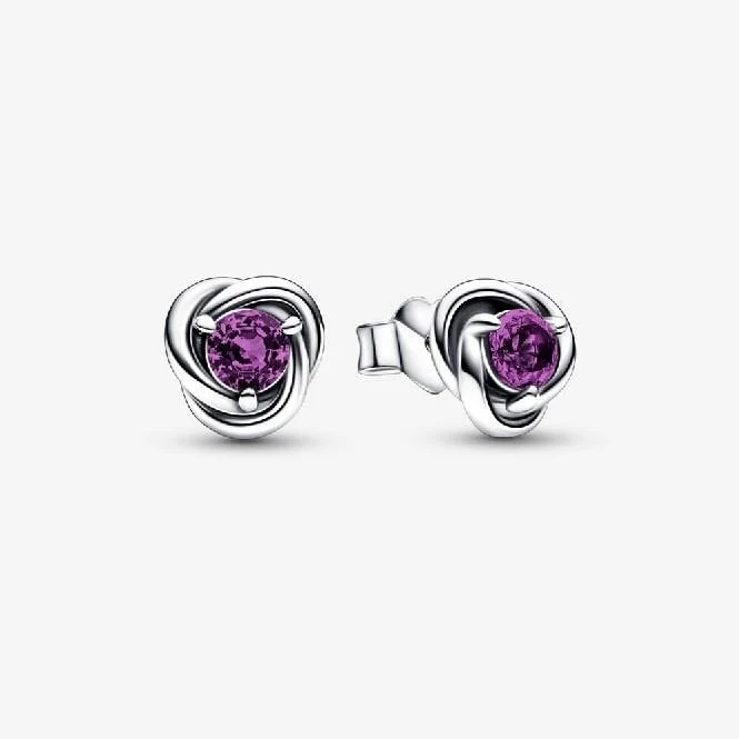 February Birthstone Eternity Circle Stud Earrings