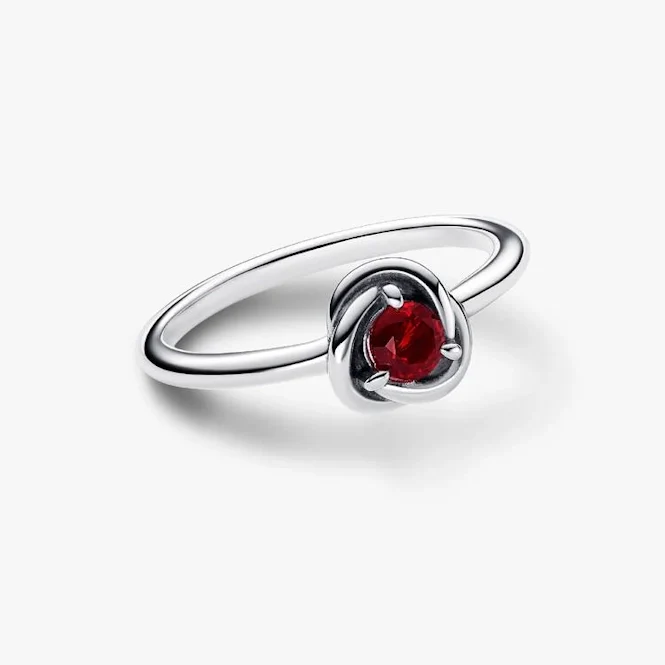 January Birthstone Eternity Circle Ring, Size 48 - Image 2