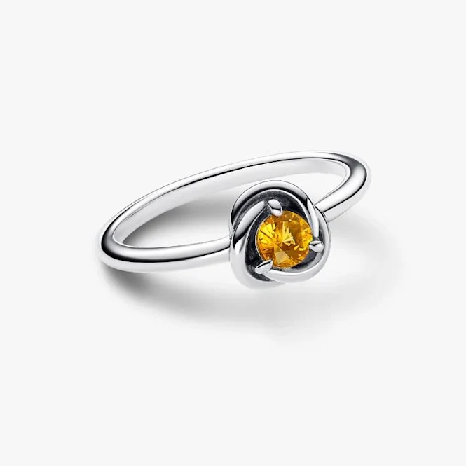 November Birthstone Eternity Circle Ring, Size 50 - Image 2