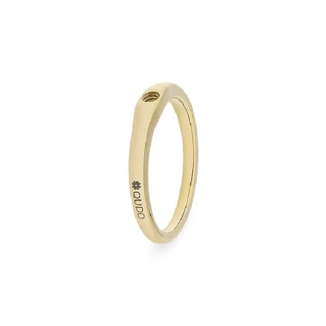 Fine Gold Interchangeable Ring, Size 60