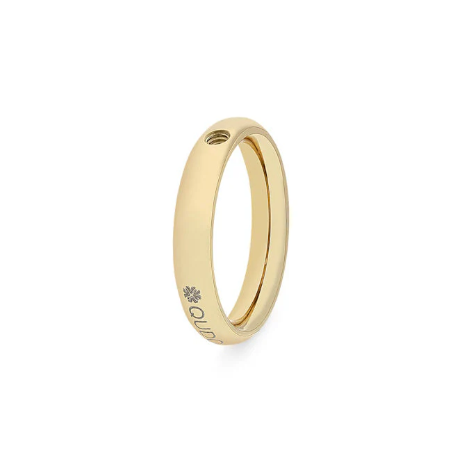 Slim Gold Interchangeable Ring, Size 52