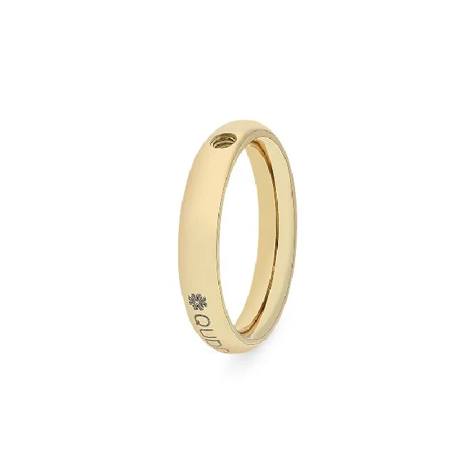Slim Gold Interchangeable Ring, Size 62